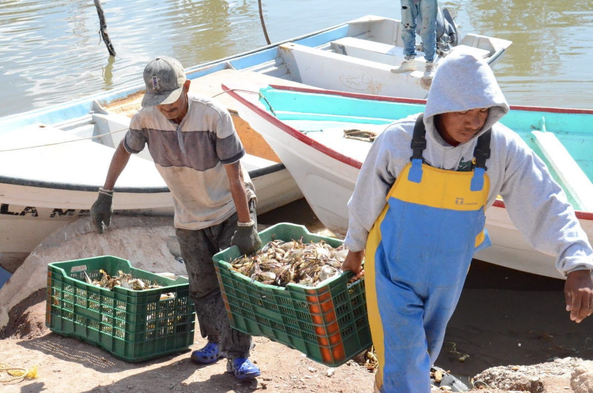 Gobernador Durazo posiciona a Sonora como líder nacional en producción pesquera